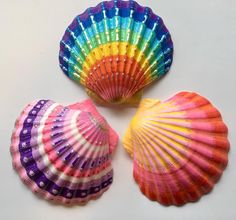 three colorful seashells on a white surface