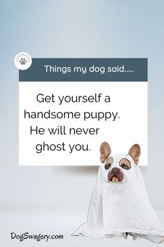 a dog with a towel on its head and the caption reads, things my dog said get yourself a handsome puppy he will never ghost you