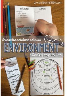 an interactive notebook activity for children to learn the environment and how they use it in their homeschool