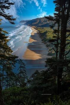 the beach is lined with pine trees and blue skies in the background, as seen from above