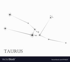 the zodiac sign taurus on a white background with space for your text or image