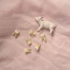 a small toy pig standing on top of a bed next to several pieces of food