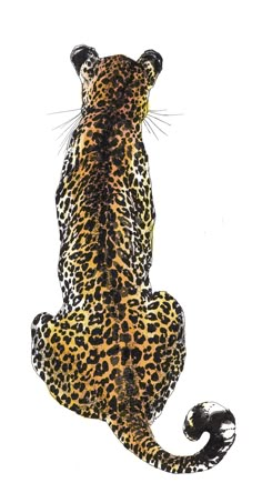 a drawing of a leopard sitting on its hind legs