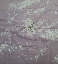 a pile of white powder sitting on top of a purple cloth next to a green plant