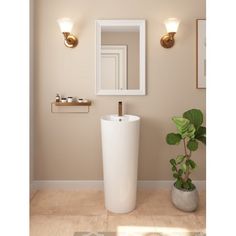 a bathroom with a sink, mirror and potted plant on the floor in front of it