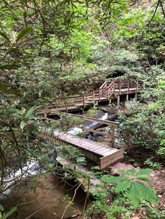 a wooden bridge over a small stream in the woods