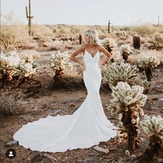 a woman in a wedding dress standing next to cacti