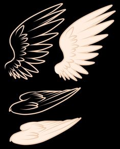 two white wings on a black background