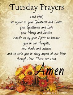 Tuesday Encouragement Quotes, Tuesday Motivation Quotes Encouragement, Tuesday Prayer Mornings, Tuesday Morning Blessings And Prayers, November Blessings Quotes, Tuesday Blessings Mornings Scripture, Tuesday Prayers And Blessings, Tuesday Blessings Inspiration, Motivational Tuesday Quotes