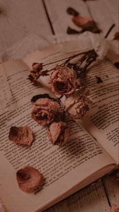 an open book with dried flowers on it