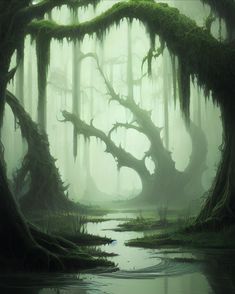 a swampy area with moss growing on the trees