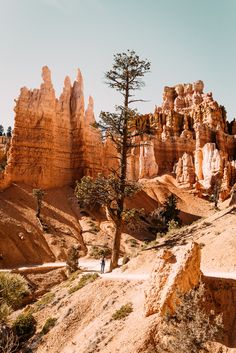 a person walking on a path in the desert near some rocks and trees with one tree growing out of it