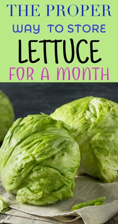 lettuce with the title how to keep lettuce crunchy for weeks