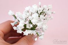 small white flowers are being held by someone's hand on a pink background,