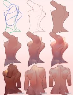 the different body shapes are shown in this image