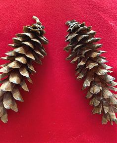 two pine cones sitting on top of a red surface