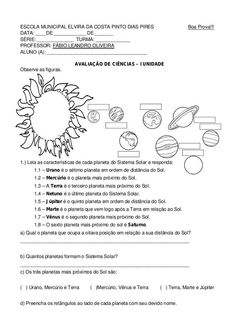 an image of the sunflower and other things to see in this worksheet