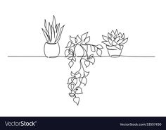 a line drawing of two succulents on a branch with one plant in the middle