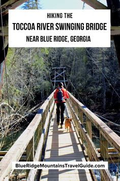 a person walking across a bridge with a dog on the other side and text reading hiking the tocco river swinging bridge near blue ridge, georgia