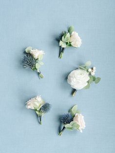 white flowers and greenery arranged on a blue background