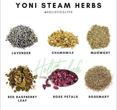 Learning Medicine, Herbal Knowledge, Homesteading Life, Tea Book, Teas Recipes, Herbal Shop, Herbal Steam, Foods Ideas, Womb Healing