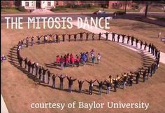 a group of people standing in a circle with the words, the mitots dance