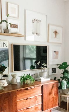 a living room filled with lots of plants and framed pictures on the wall above it