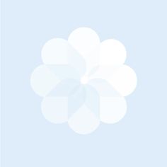 a white flower on a light blue background