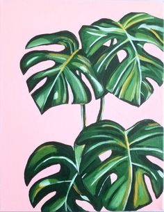 a painting of a monster's leaf plant on a light pink background with green leaves