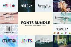 some type of font that is in different colors and sizes with the words fonts bundle