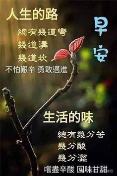 an advertisement with chinese writing on it and a branch with leaves in the foreground