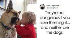 a little boy kissing a dog's nose with the caption, they're not dangerous if you raise them right and nether are the dogs