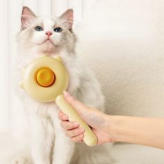 a person holding a cat toy in their hand