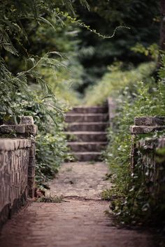 the steps lead up to the trees and bushes