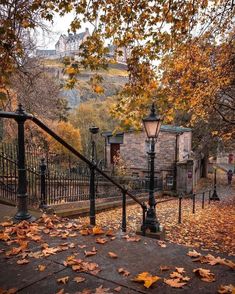 an old fashioned street light with fall leaves on the ground