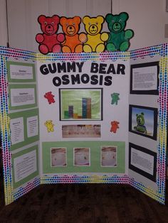 a bulletin board with gummy bears on it and other information about gummy bears