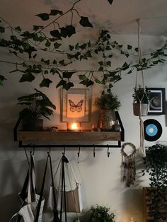 some plants hanging from a shelf in front of a candle and pictures on the wall