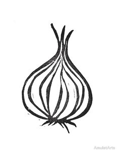 an onion drawn in black ink on white paper