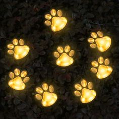 lighted paw prints on the ground in front of bushes