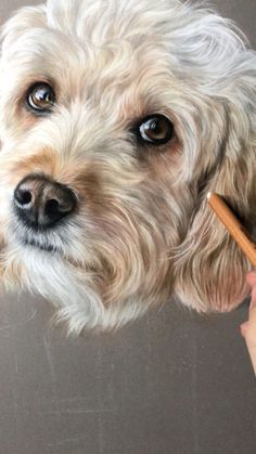 a white dog is holding a pencil in its mouth