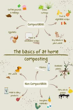 the basics of at home compositing infographical flow chart for kids