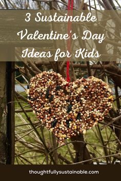 a heart shaped bird feeder hanging from a tree with text overlay that reads 3 suitable valentine's day ideas for kids