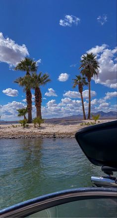 palm trees line the shore of a body of water