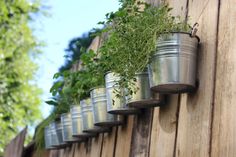 several metal buckets filled with plants hanging on a wooden fence