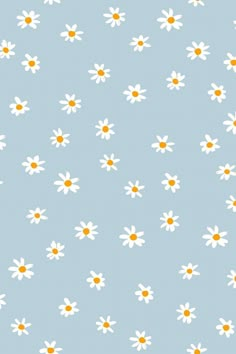 a blue background with white and orange daisies