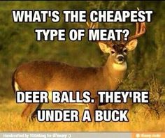 a deer with the caption what's the cheapest type of meat? deer balls they're under a buck