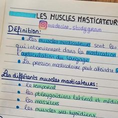 Muscles, Anatomy, University, Stationery, Tags