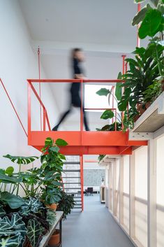 a person walking down a long hallway with plants on either side and stairs to the second floor