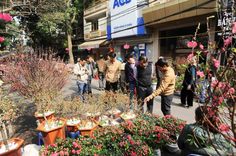 several people are standing in front of flowers and plants on the side of the road