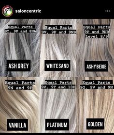 Redken Shades Ash Blonde Formula, Bleach Toner Blonde Hair, Smokey Silver Hair Color, Redken Shades Eq Formulas 9aa, Redken Shades Eq 09p Opal Glow, Redken Blonde Shades, Ashy Blonde Hair Toner, Champagne Blonde Redken Formulas, High And Low Lights Hair Grey